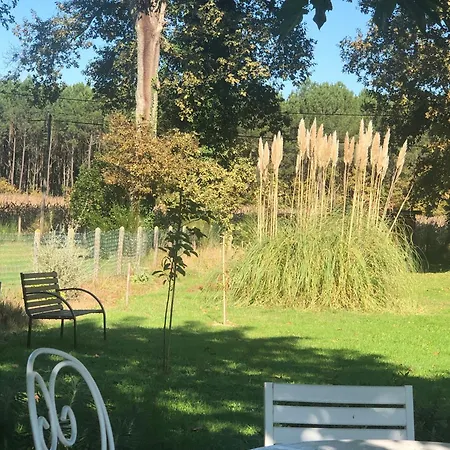 Bienvenue A La Maison