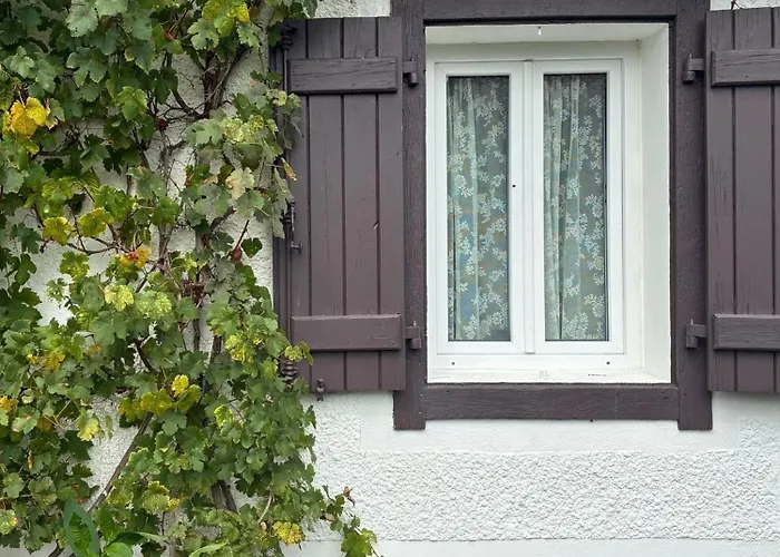 Bienvenue A La Maison *